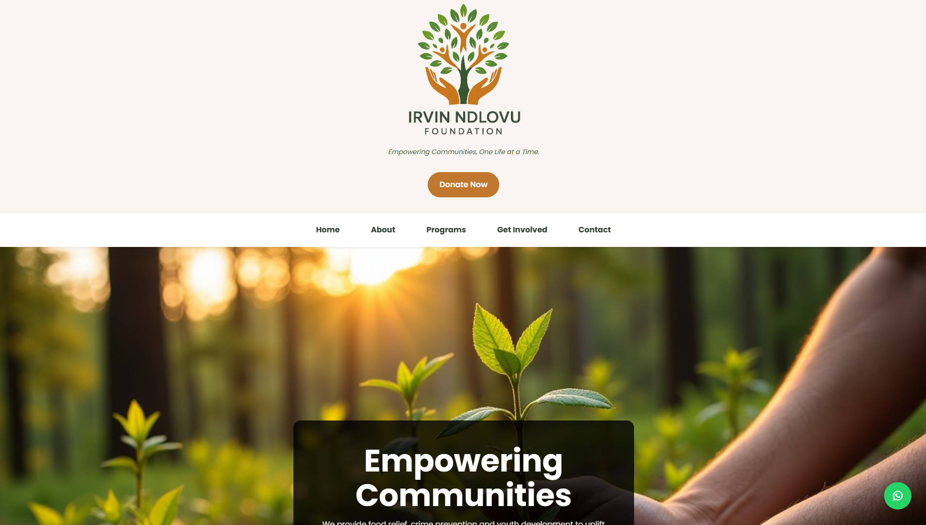 Preview of the Irvin Ndlovu Foundation NPO website